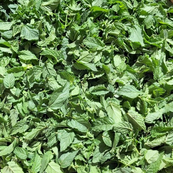 Sirop de Menthe BIO 50cl – Image 2