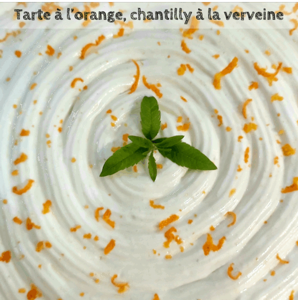 Livre de recettes " Cuisiner les plantes " – Image 2