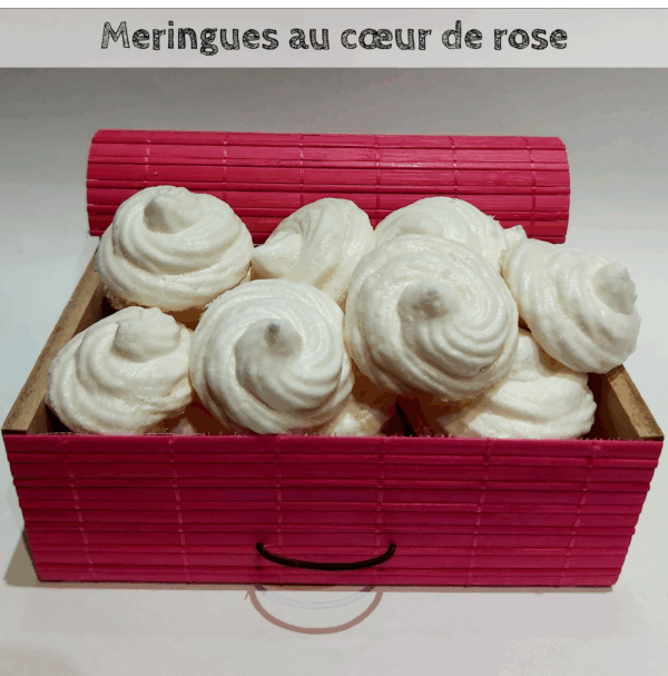 Livre de recettes " Cuisiner les plantes " – Image 10