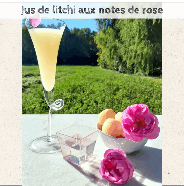 Livre de recettes " Cuisiner les plantes " – Image 11