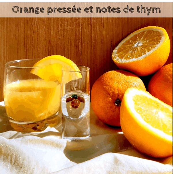 Livre de recettes " Cuisiner les plantes " – Image 13