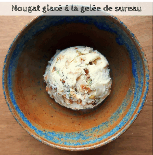Livre de recettes " Cuisiner les plantes " – Image 16