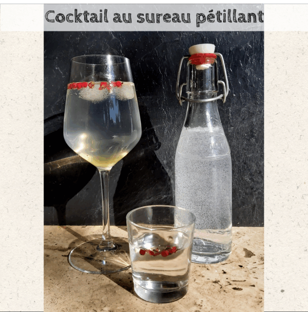 Livre de recettes " Cuisiner les plantes " – Image 17