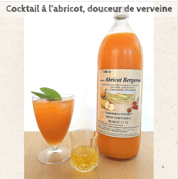 Livre de recettes " Cuisiner les plantes " – Image 3