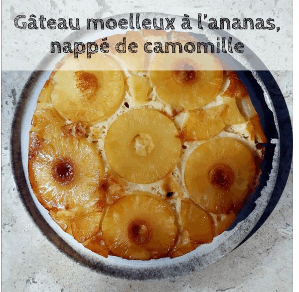 Livre de recettes " Cuisiner les plantes " – Image 14