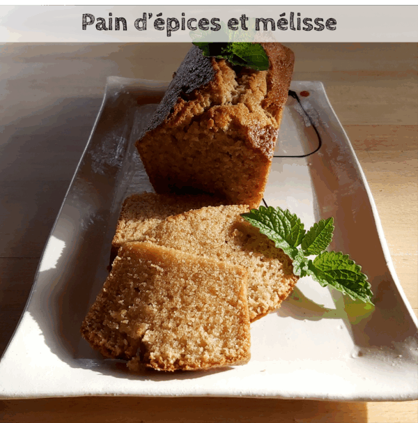 Livre de recettes " Cuisiner les plantes " – Image 6