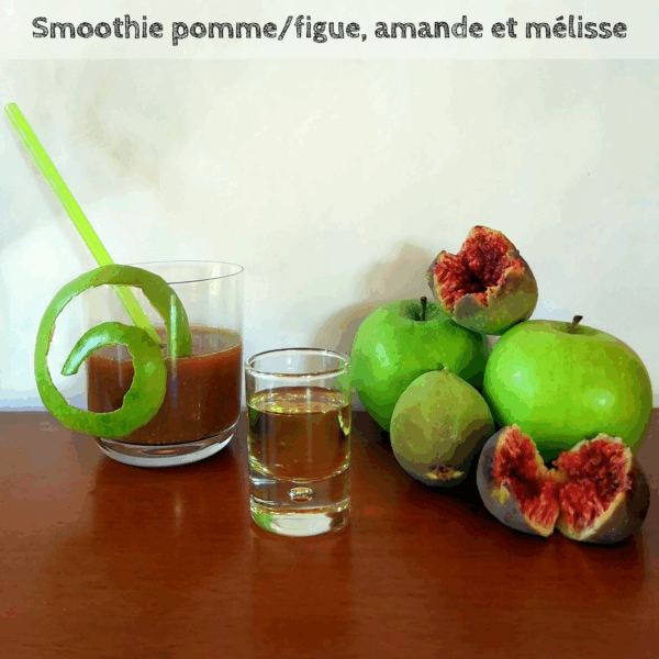 Livre de recettes " Cuisiner les plantes " – Image 7