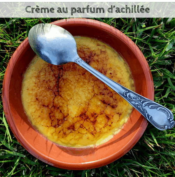 Livre de recettes " Cuisiner les plantes " – Image 8