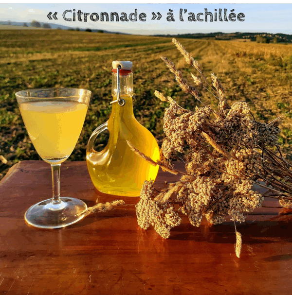 Livre de recettes " Cuisiner les plantes " – Image 9