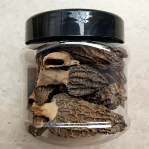Morilles BIO