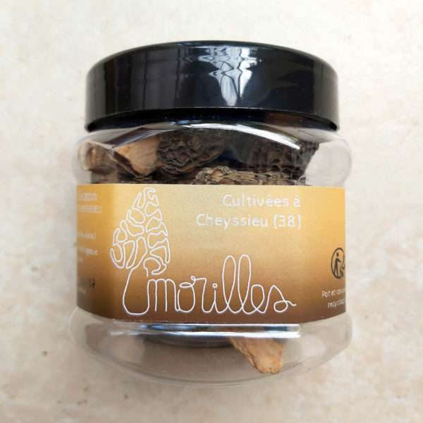 Morilles BIO – Image 2