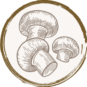 Champignons